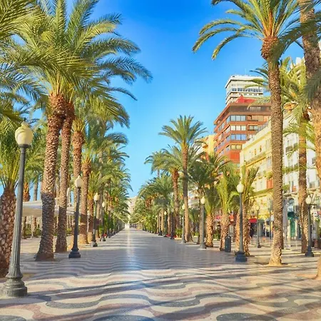 R-3- комната в квартире для 1 человек в центре Homestay Alicante